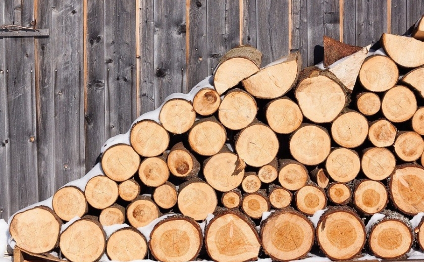 Чому в Обухівському лісництві закінчились дрова: за продаж відповідальна підсудна особа